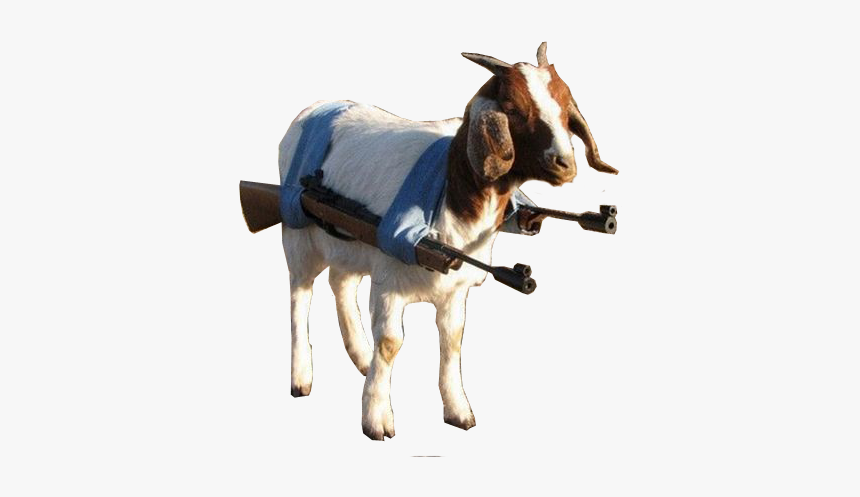 Thats Why I Send My Goat Gun, HD Png Download, Free Download