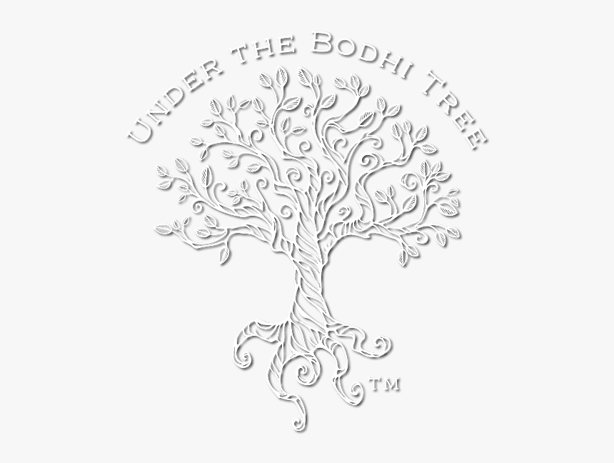 Bodhi Tree Banner Black And White - Line Drawing Bodhi Tree, HD Png Download, Free Download