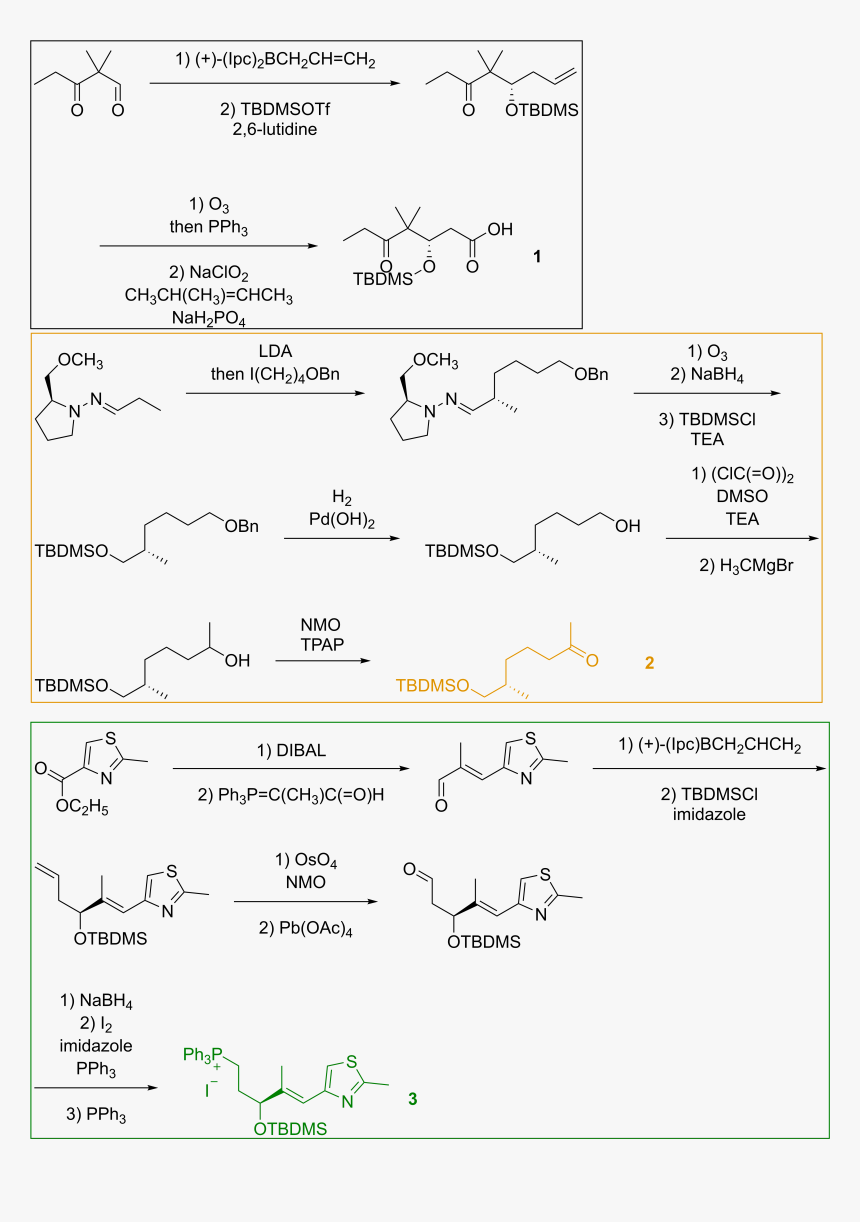 Construction Of Building Blocks For Nicolaou"s Total - Total Synthesis Of Epothilone By Nicolaou 1997, HD Png Download, Free Download