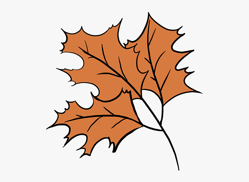 How To Draw Fall Oak Leaves - Fall Drawing Easy, HD Png Download, Free Download