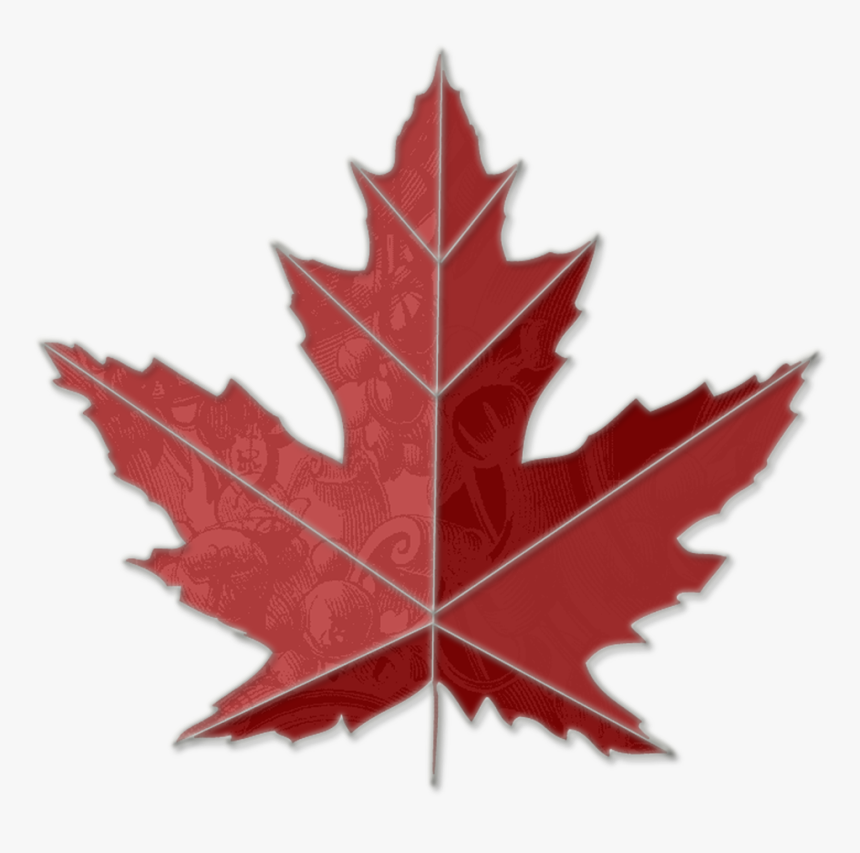 Transparent Maple Leaf Clipart Black And White - Toronto Maple Leaf Tree, HD Png Download, Free Download