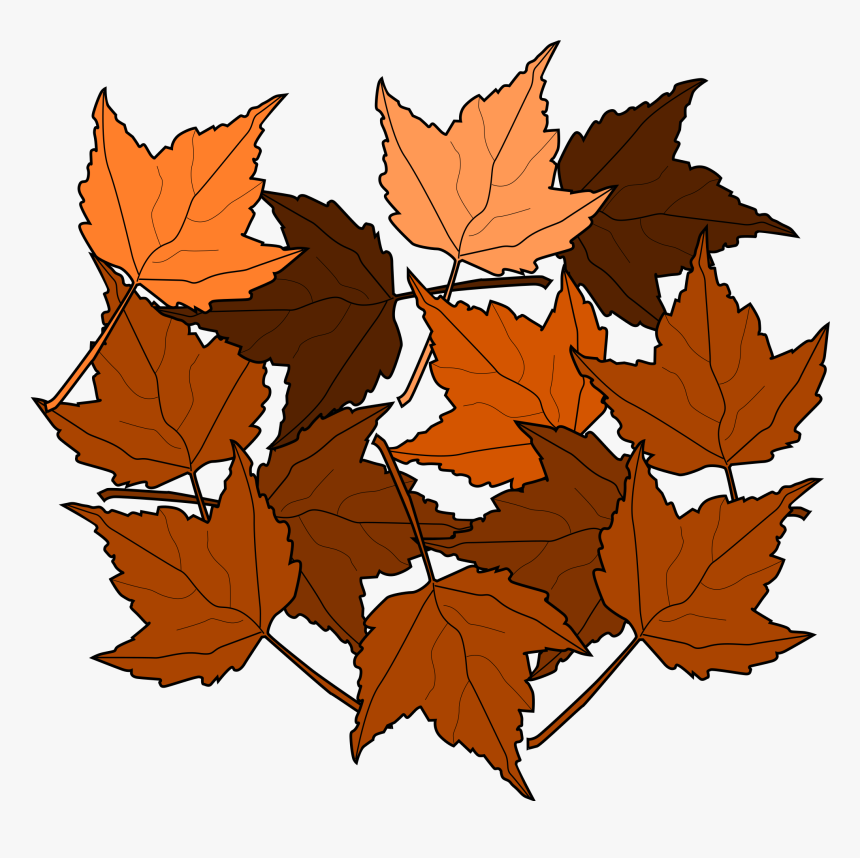 Maple Leaves Clip Art At Clker - Dried Leaves Clip Art, HD Png Download, Free Download
