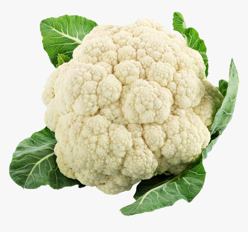 White Cauliflower Png Free Images - Cauliflower Png, Transparent Png, Free Download