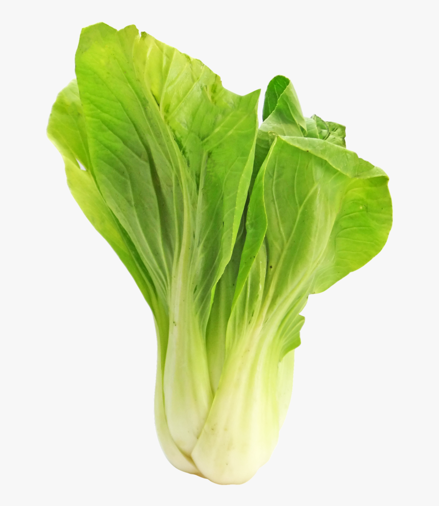 Bokchoy, Bok Choy, Cabbage, Vegetable, Japanese, Food - Bok Choy Vegetable Png, Transparent Png, Free Download