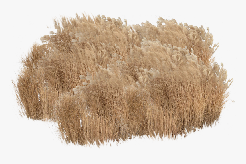 Thatching, HD Png Download, Free Download