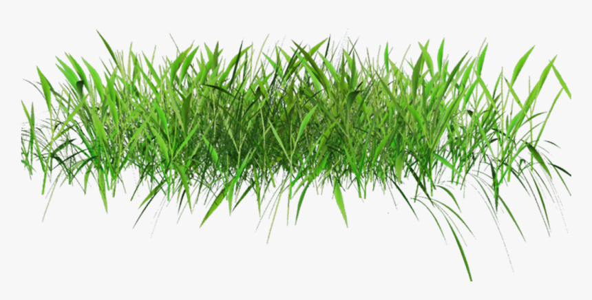 Transparent Grass, HD Png Download, Free Download