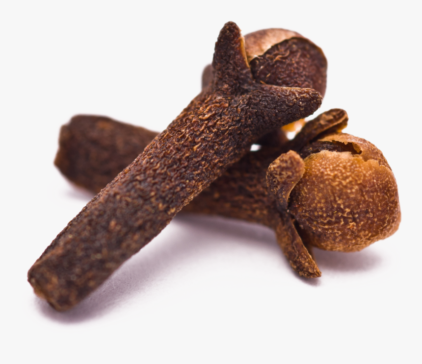 Clove Essential Oil - Clove Png, Transparent Png, Free Download