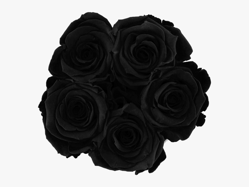 Clip Art Black And White Roses - Transparent Black Rose Png, Png Download, Free Download