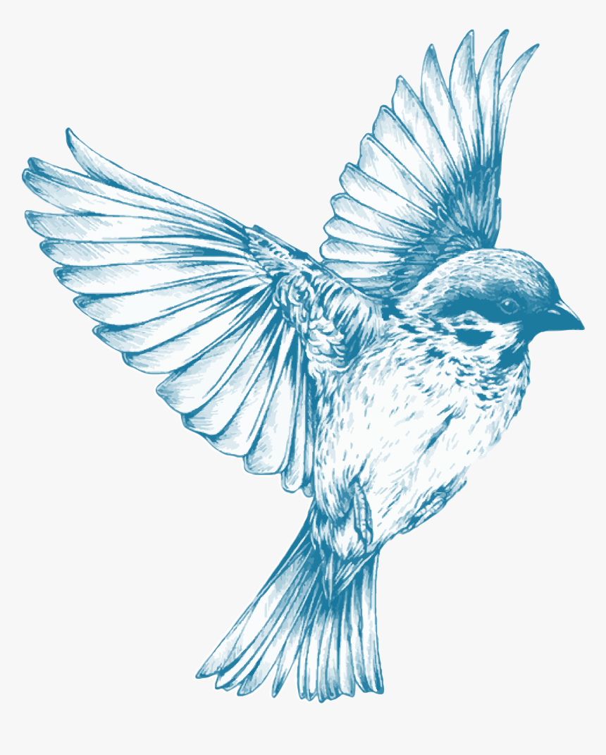 Blue Bird Flying Drawing, HD Png Download, Free Download