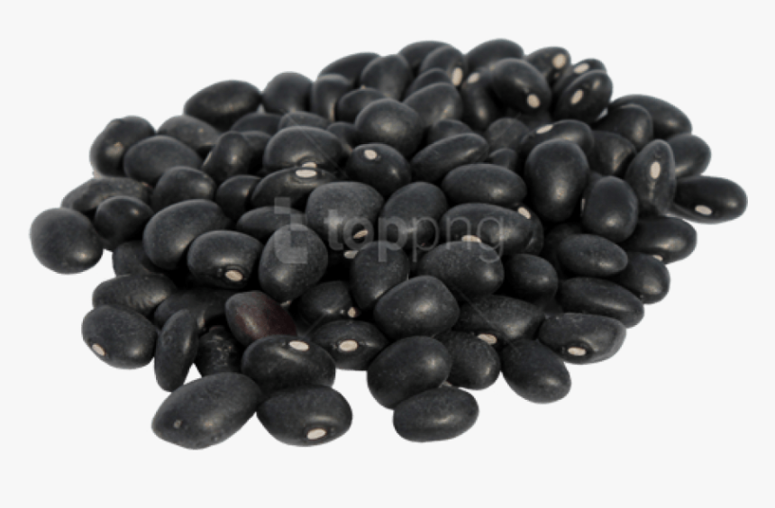 Jamun - Black Beans In Urdu, HD Png Download, Free Download