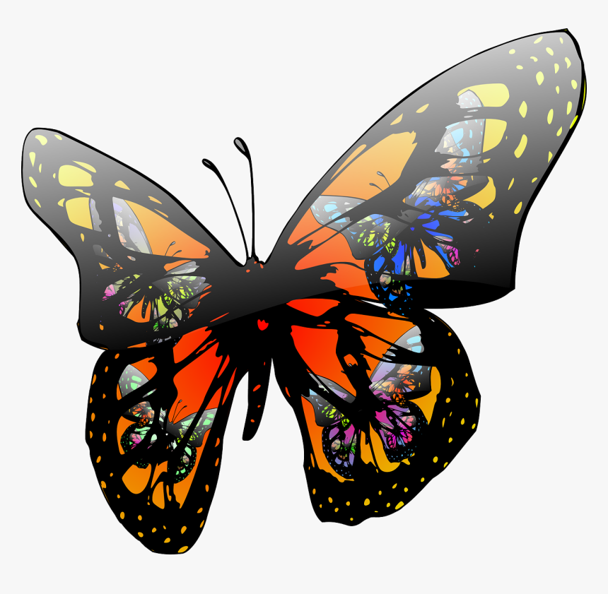 Home Bright Futures - Moving Clip Art Butterfly, HD Png Download, Free Download