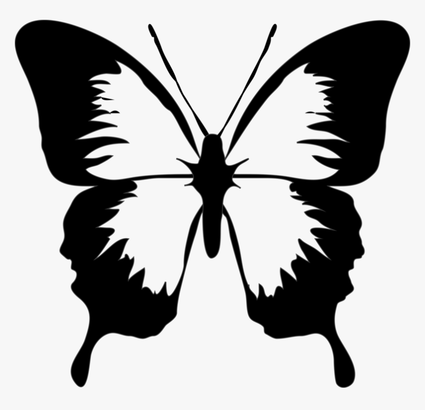 Butterfly Black And White Clip Art Black And White - Butterfly Clip Art, HD Png Download, Free Download