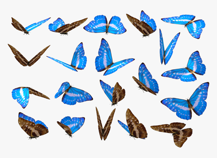 Transparent Butterflies Png Transparent - Blue Butterfly Photoshop, Png Download, Free Download