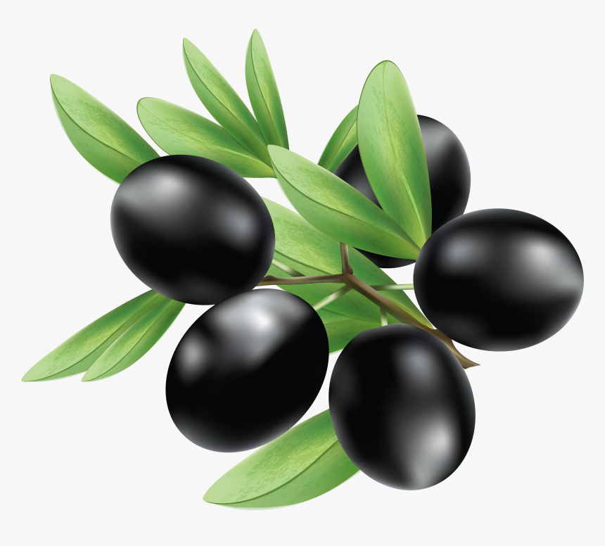 Black Olives Transparent Background, HD Png Download, Free Download