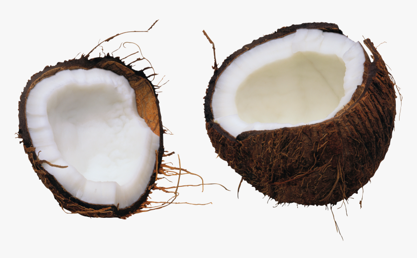 Free Background Coconut Picture Transparent, HD Png Download, Free Download