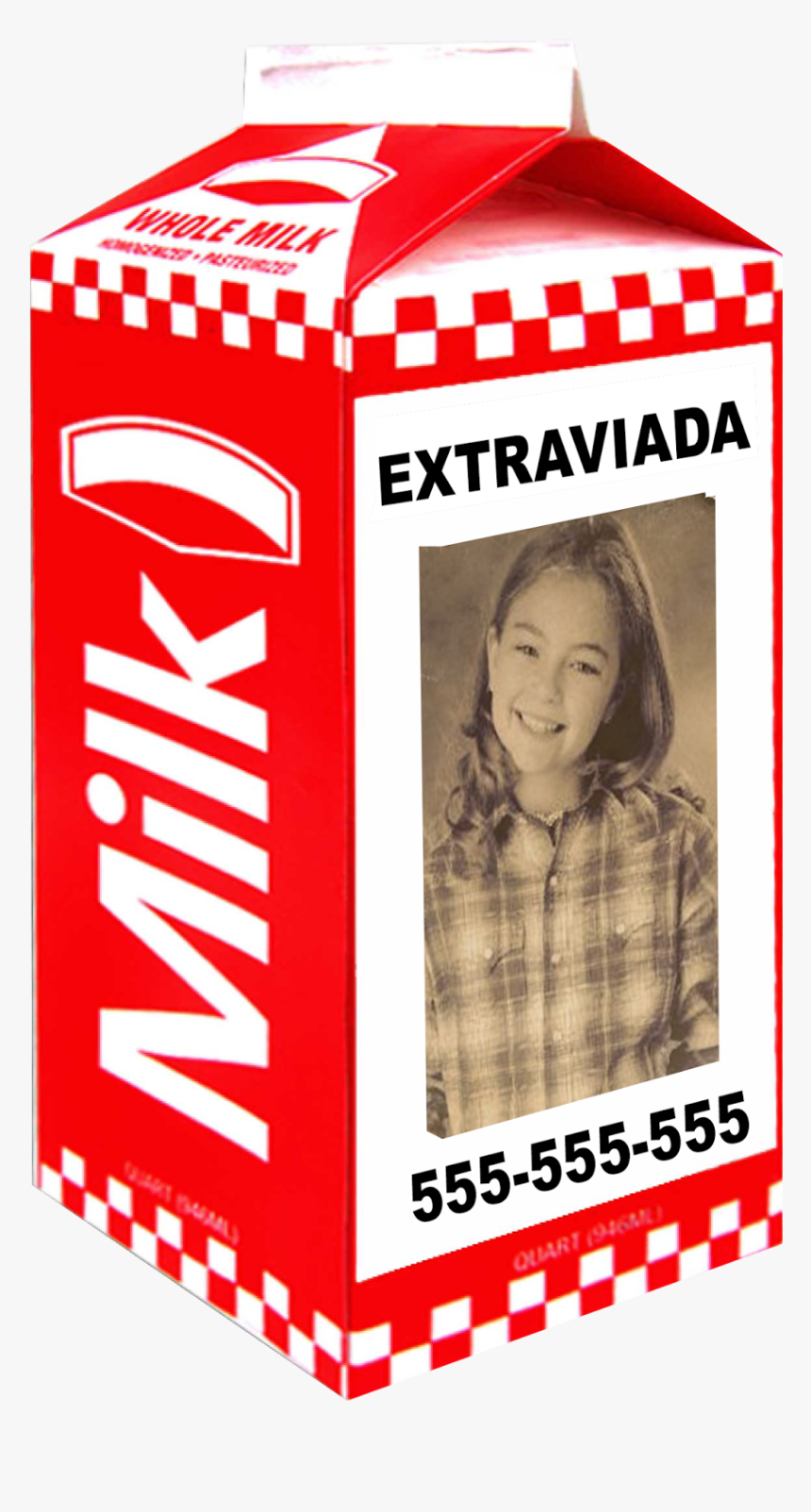 Missing Milk Carton , Png Download - Missing Milk Carton Blank, Transparent Png, Free Download