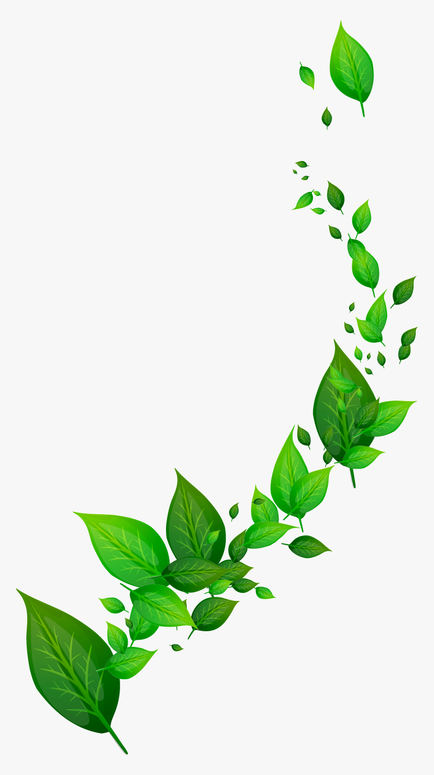 Transparent Green Vines Png - Png Leaf Free, Png Download, Free Download