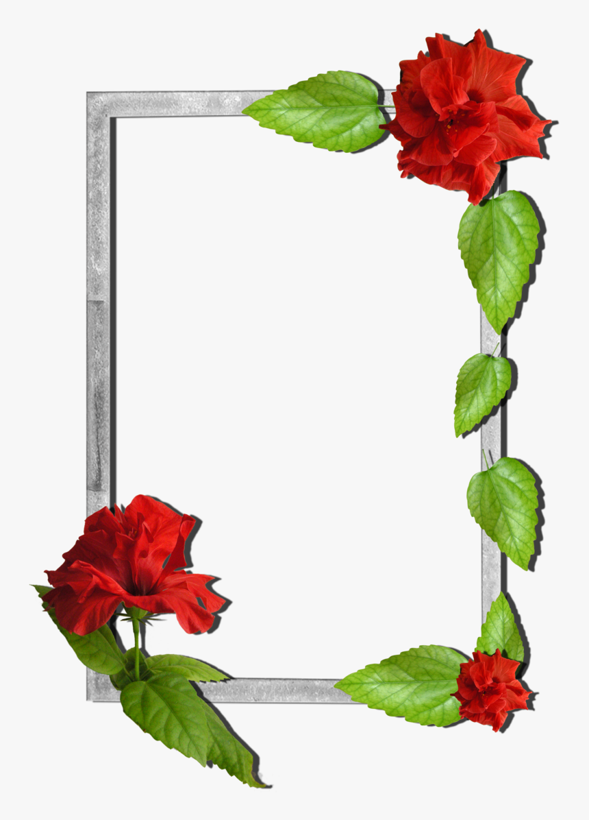 Flowers Frame Borders And Frames, Nature Plants, Frame - Folwers Frame High Quality, HD Png Download, Free Download