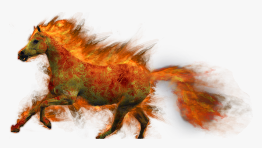 Transparent Llamas De Fuego Png - Caballos Con Llamas Png, Png Download, Free Download