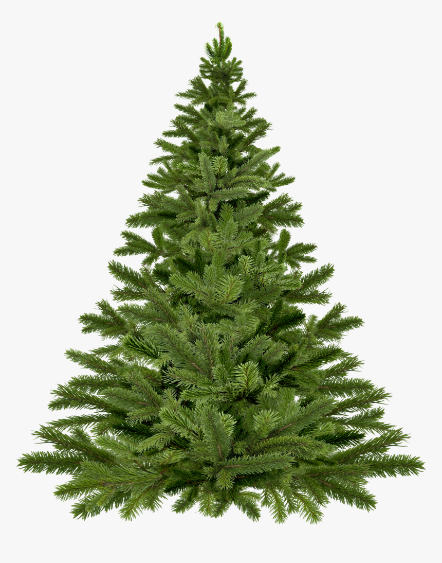 Arbol De Navidad - Plain Christmas Tree Png, Transparent Png, Free Download