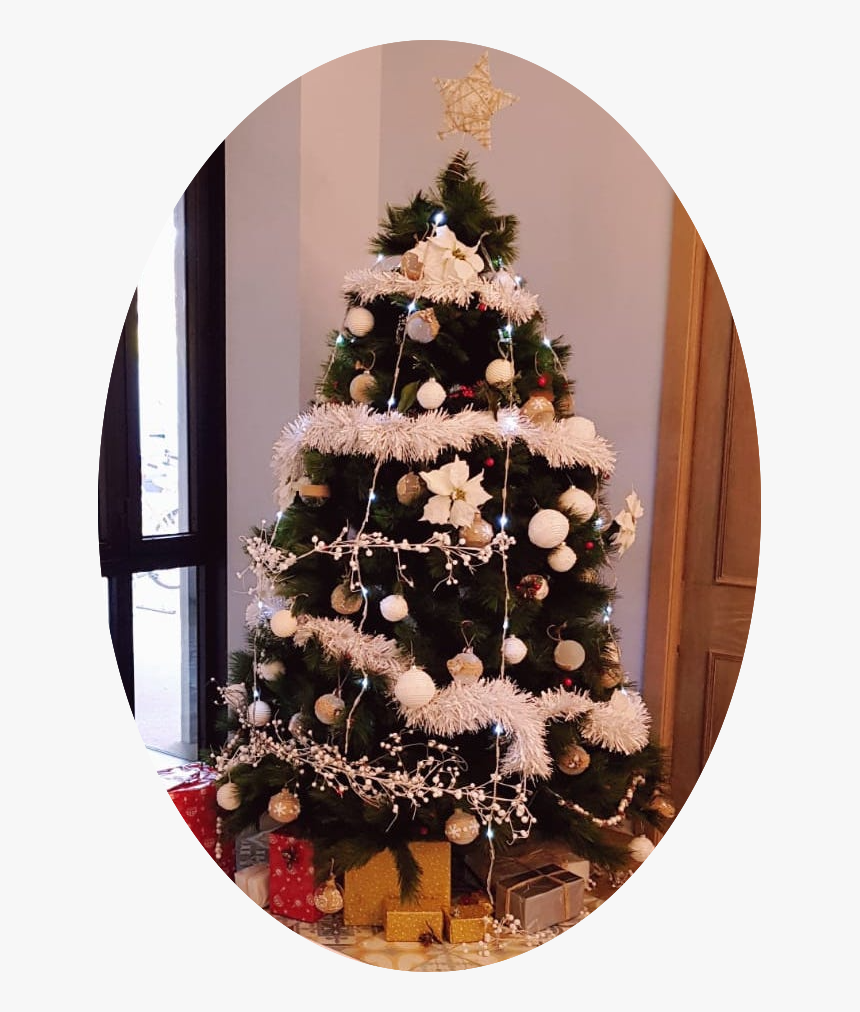 Transparent Arbolito De Navidad Png - Christmas Tree, Png Download, Free Download