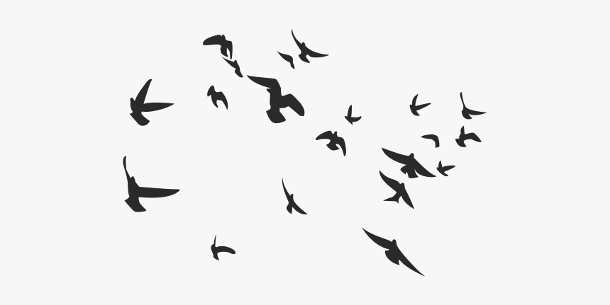 Birds B&w, HD Png Download, Free Download