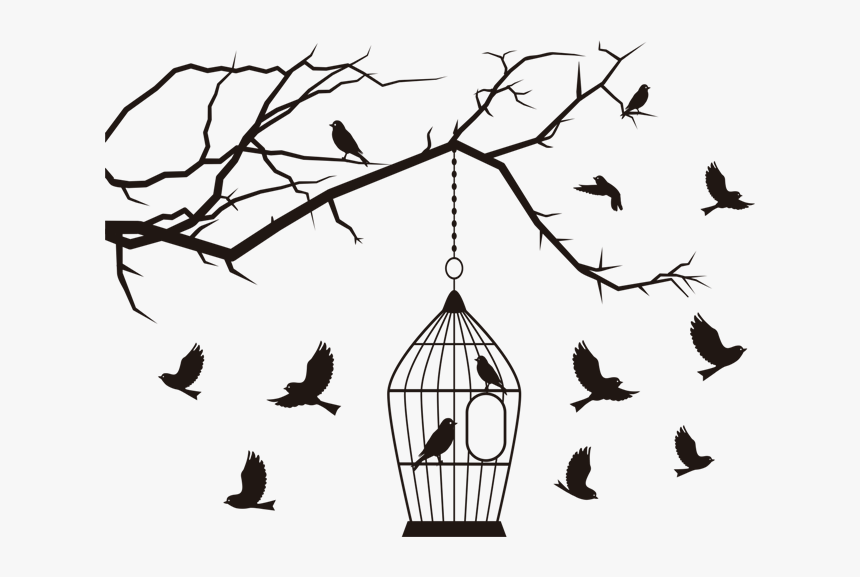 Transparent Pajaros Volando Png - Pajaros Blanco Y Negro, Png Download, Free Download