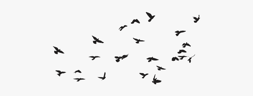 Pajaros Png Transparente - Flock Of Birds Vector, Png Download, Free Download