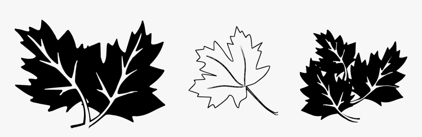 Leaf Black And White Clipart, HD Png Download, Free Download