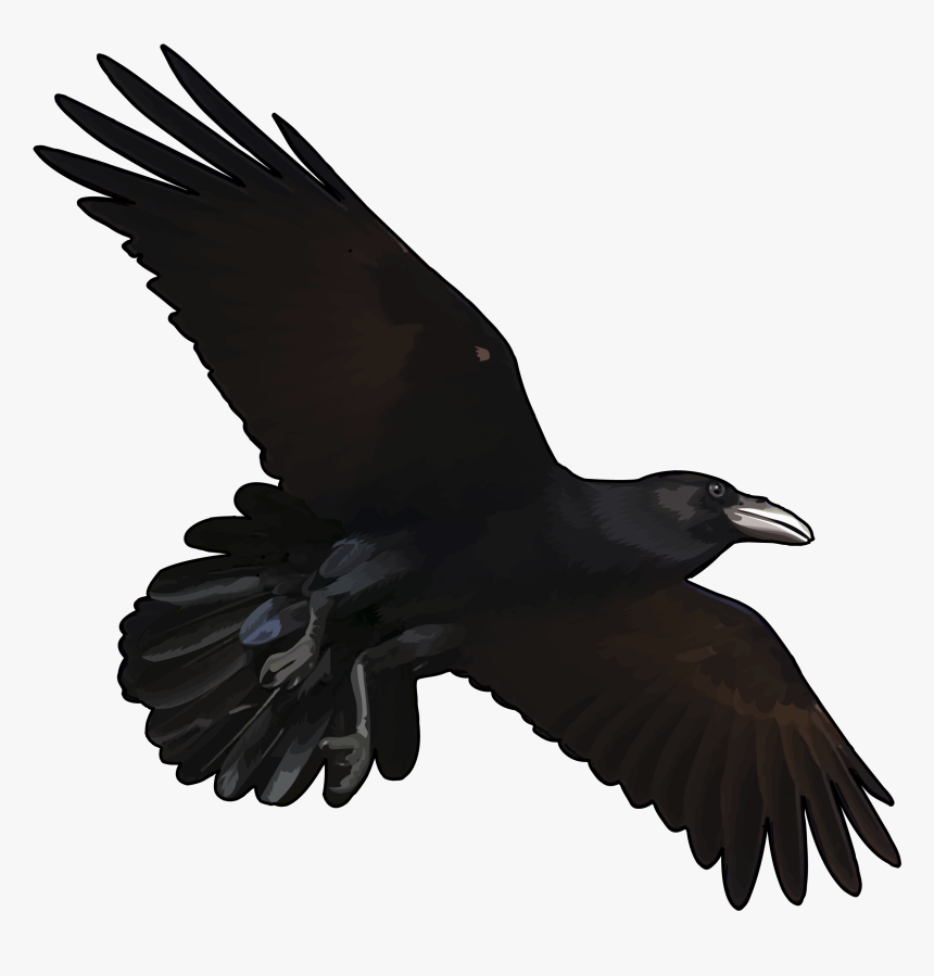 Dibujo De Cuervos Volando, HD Png Download, Free Download