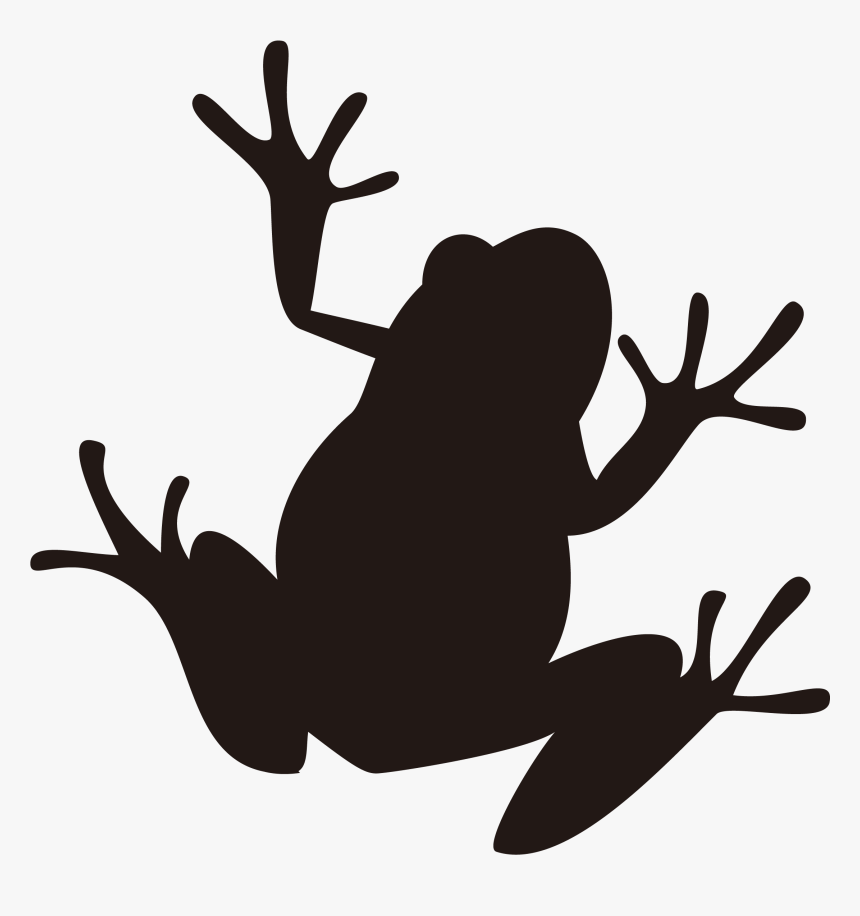 Frog Silhouette Illustration Image Amphibians - Frog Silhouette Png, Transparent Png, Free Download