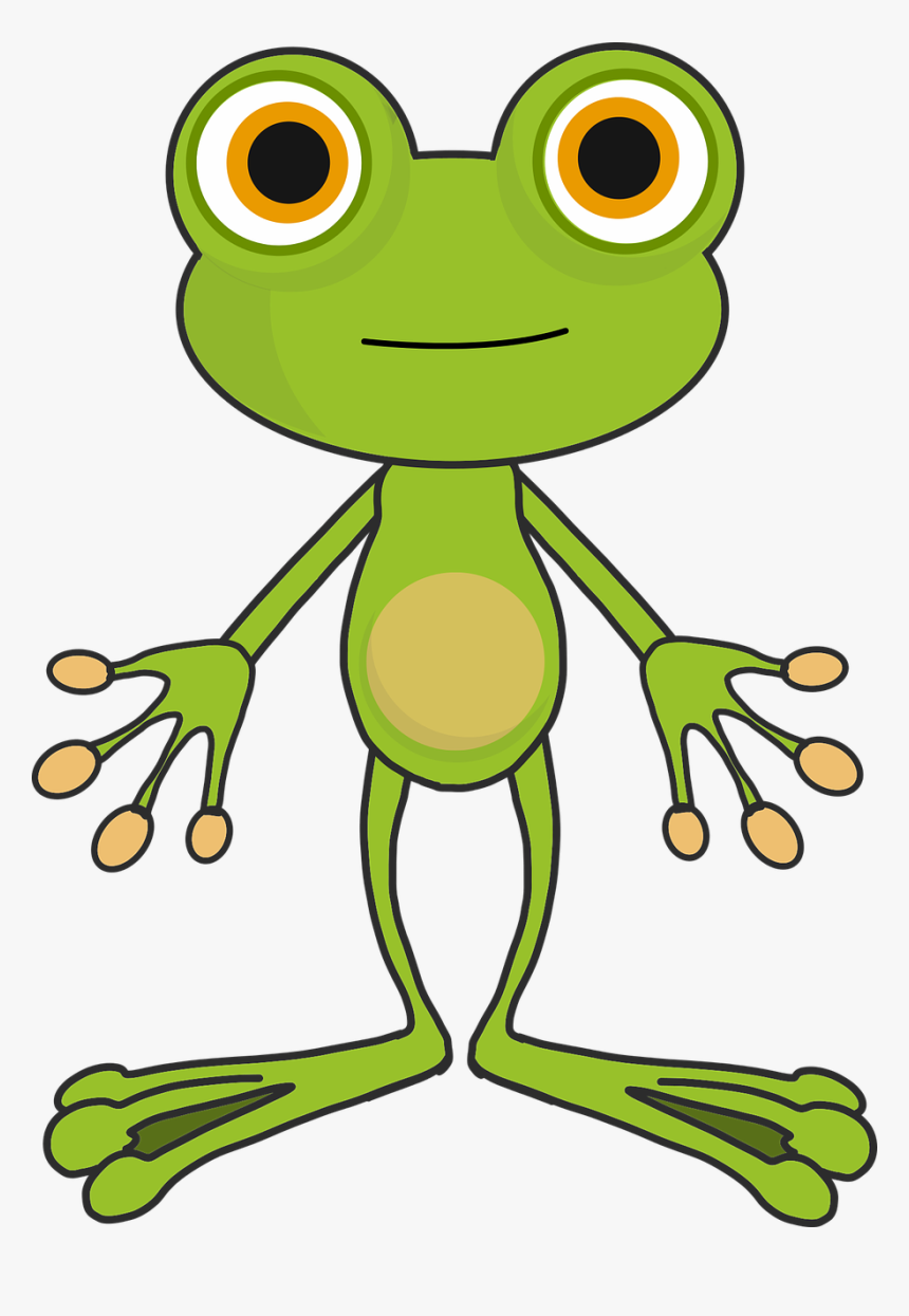 Frog Cartoon Transparent Png Image - Animasi Kodok, Png Download, Free Download