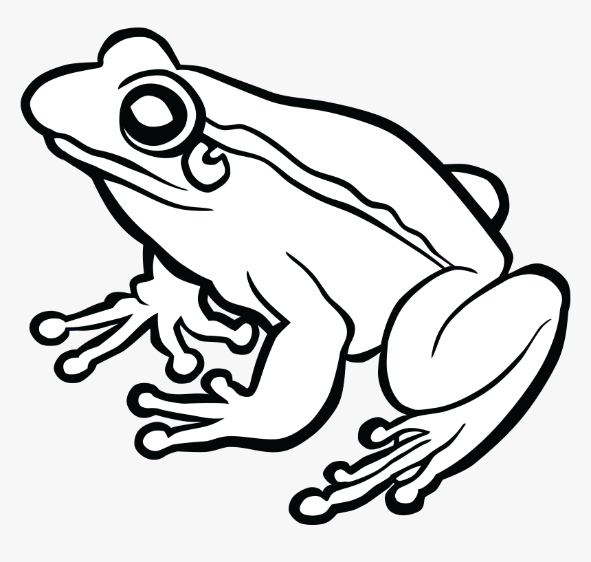 Frog Graphics Png - Amphibian Clipart Black And White, Transparent Png, Free Download