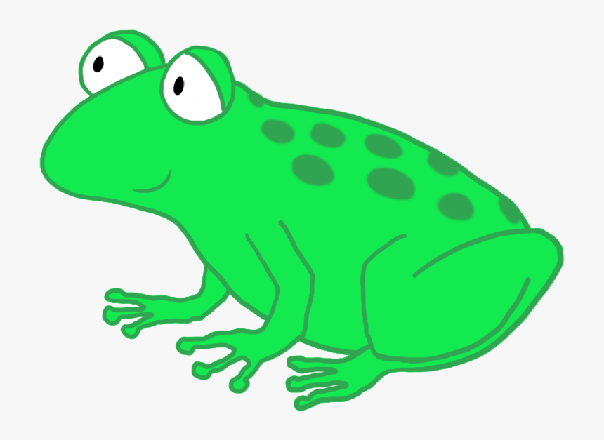 Funny Cartoon Frog Drawing, Funny And Cute Cartoon - Cartoon Frog Transparent Background, HD Png Download, Free Download