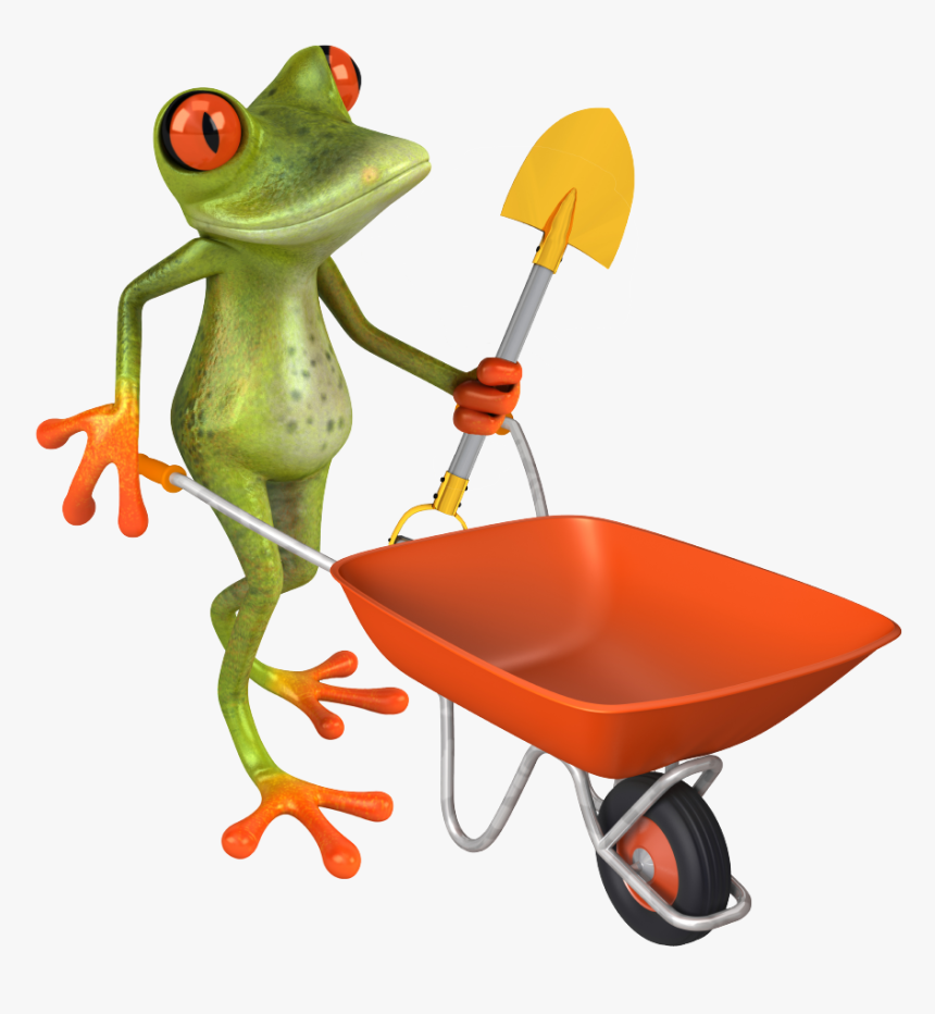 Lawn Care Frog - Red-eyed Tree Frog, HD Png Download, Free Download