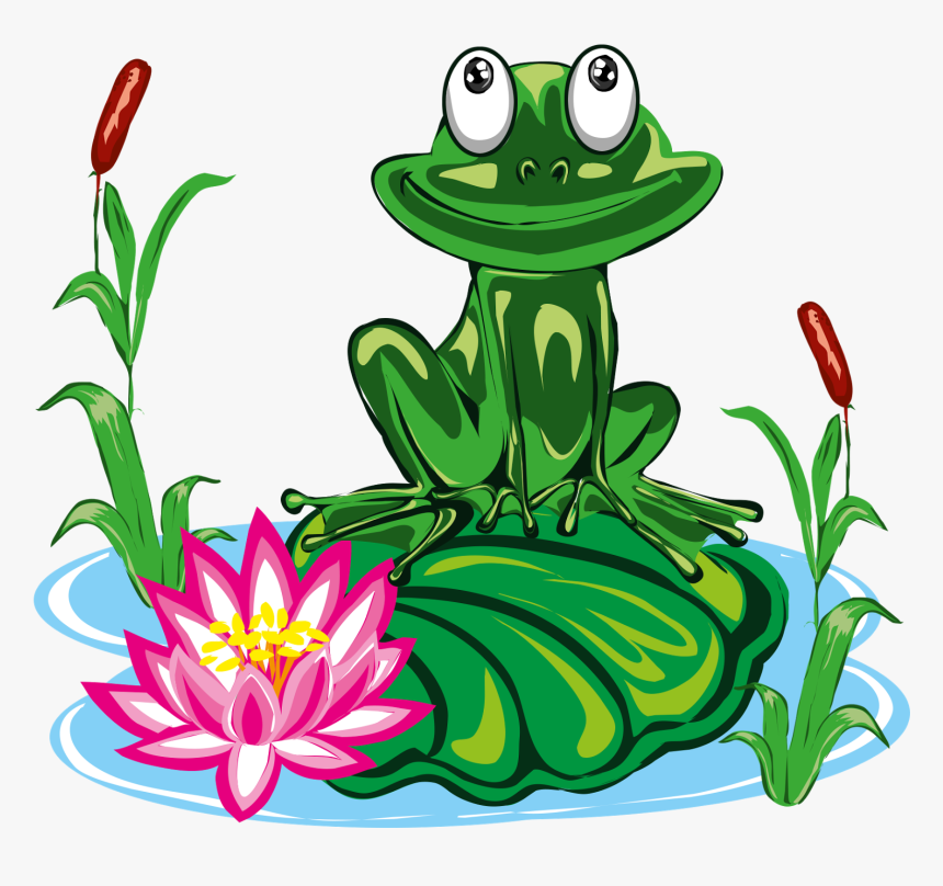 Tree Frog True Frog Toad Clip Art, HD Png Download, Free Download