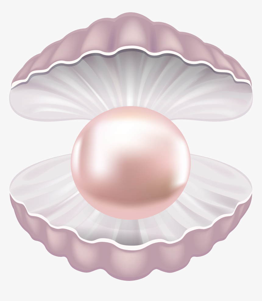 Pearls Clipart Clipart Shell, HD Png Download, Free Download