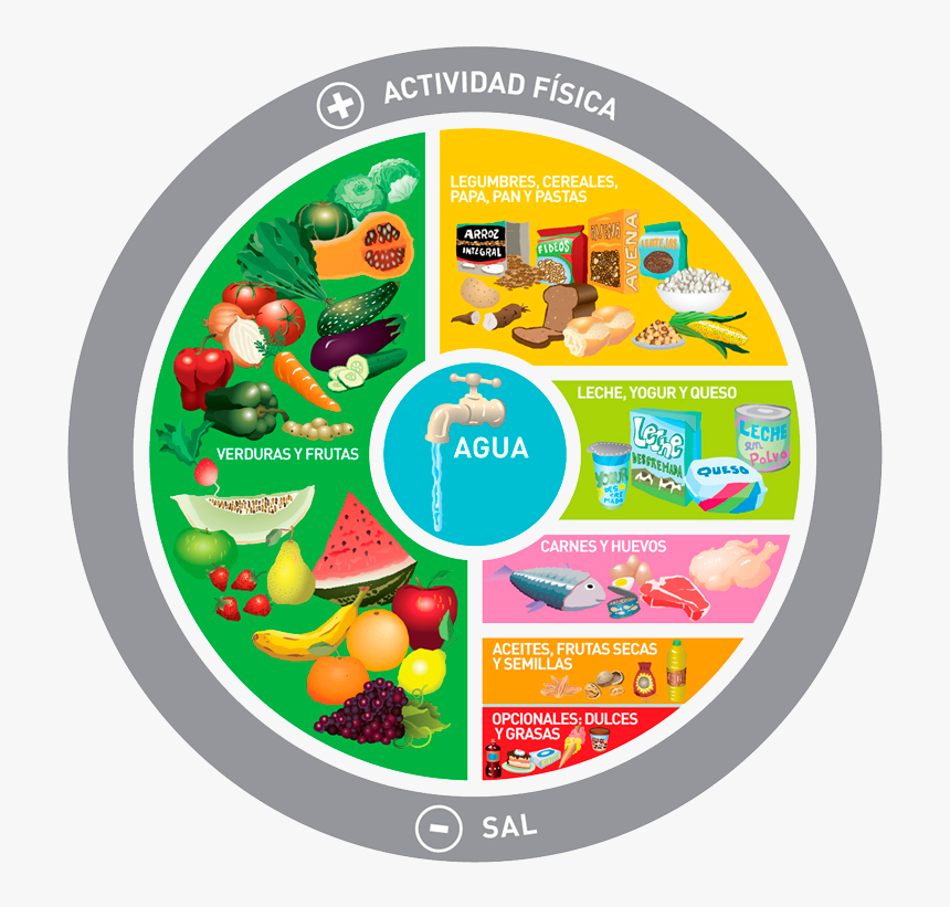 Plan De Alimentación Saludable, HD Png Download, Free Download