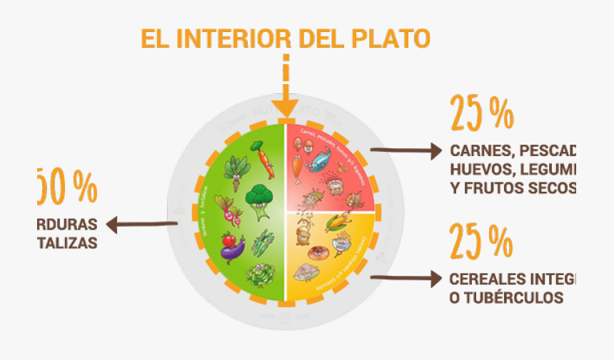 El "nutriplato" - Nutri Plato De Nestle, HD Png Download, Free Download