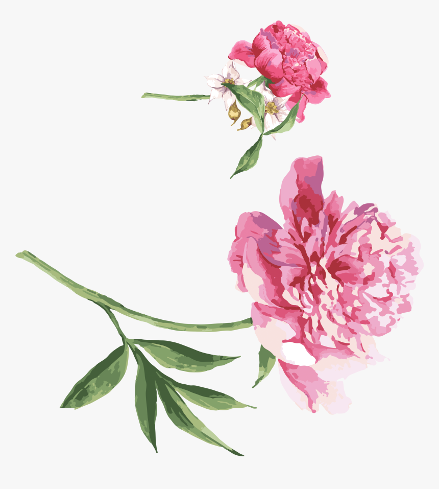 Moutan Peony Watercolor Painting Download - Cartoline Vintage Con Farfalle, HD Png Download, Free Download