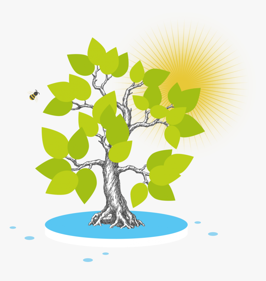 Symbolbild Photosynthese Mit Baum Und Sonne - Photosynthesis Clipart Transparent Background, HD Png Download, Free Download