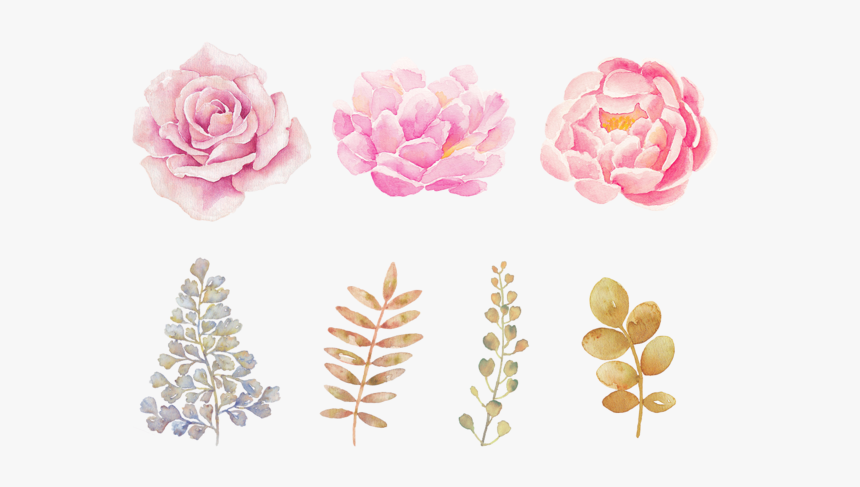 Watercolor Flowers Png Transparent Background Watercolor Flowers