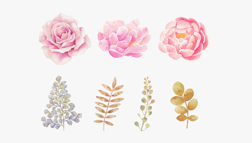 Watercolor Flowers Png Transparent Background - Watercolor Flowers Transparent Background, Png Download, Free Download