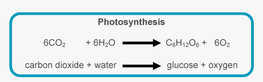 Photosynthesis Equation, HD Png Download, Free Download