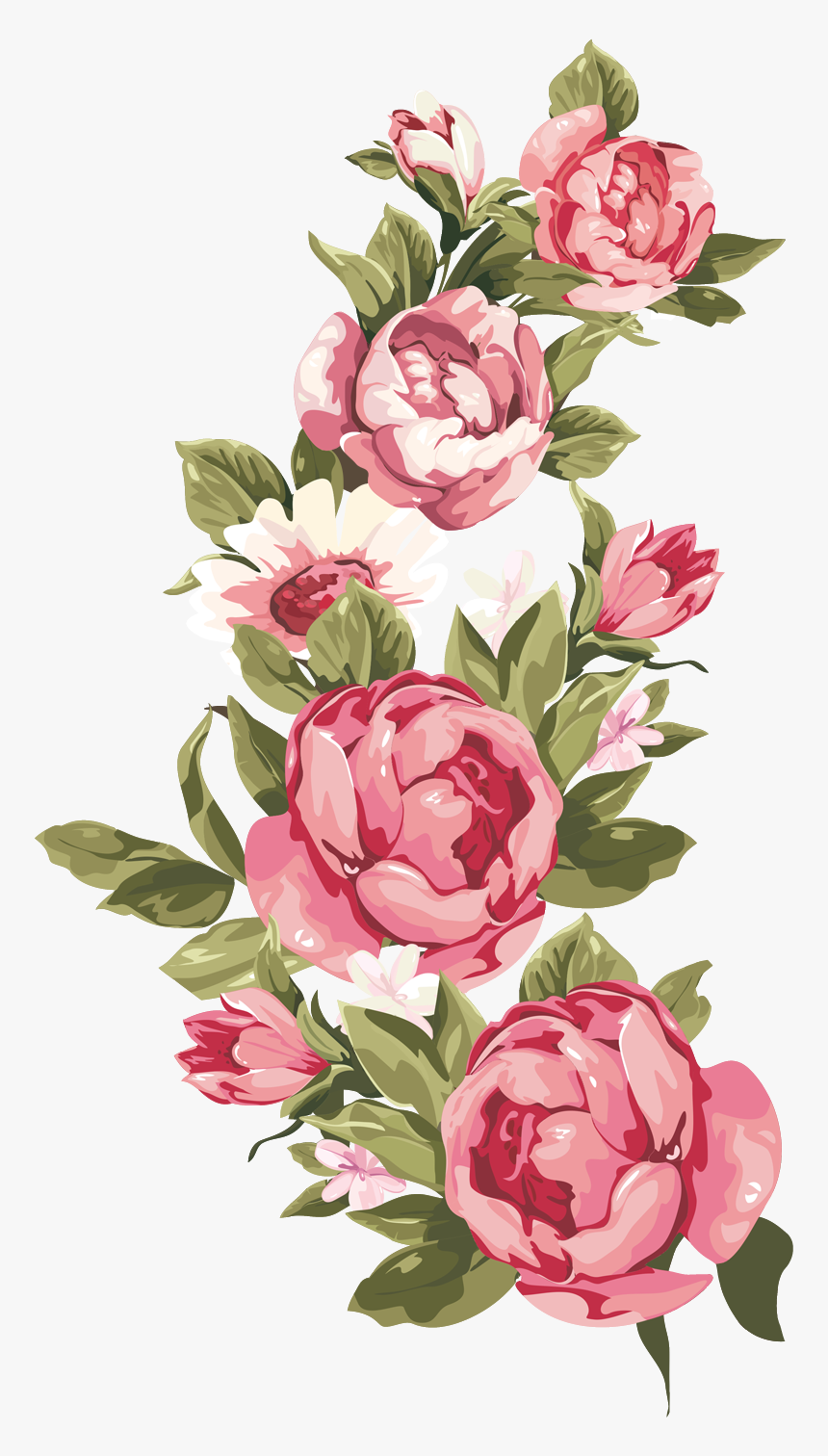 Flower,flowering Plant,rosa � Centifolia,garden Roses,plant,pink,common - Rose Floral Design, HD Png Download, Free Download