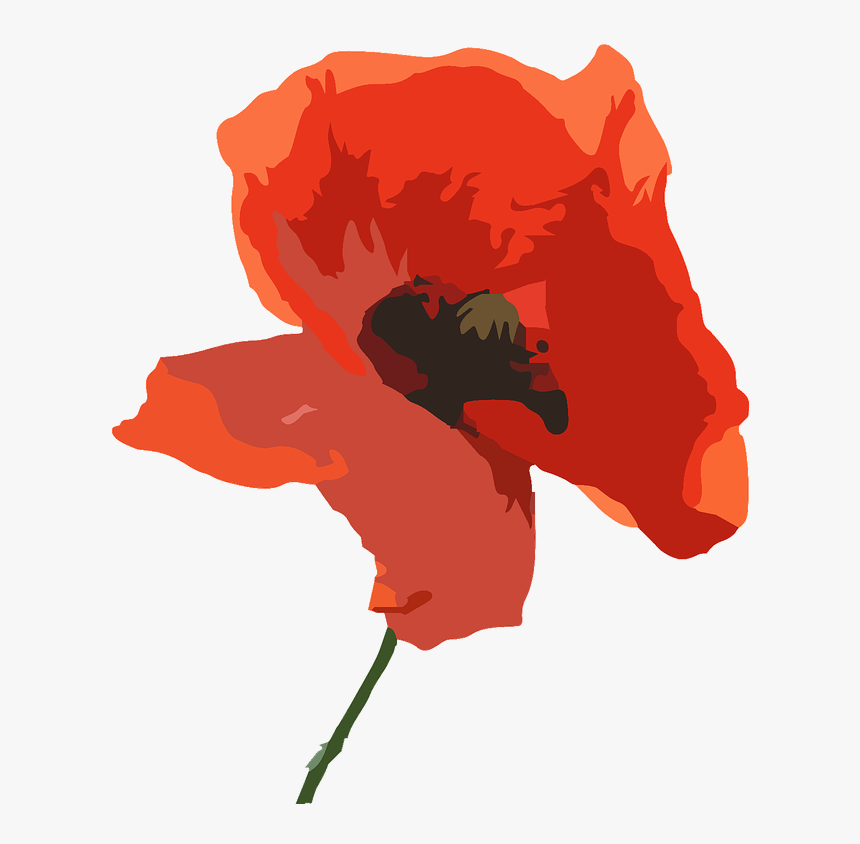 Watercolor Transparent Poppy, HD Png Download, Free Download