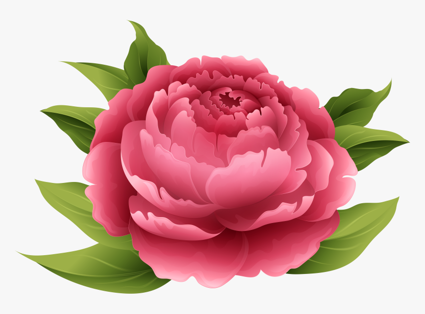 Transparent Watercolor Clipart Png - Clip Art Peonies, Png Download, Free Download