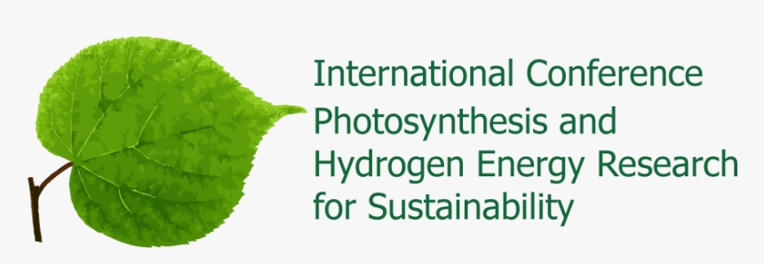 International Conference On Photosynthesis And Hydrogen - Annual Plant, HD Png Download, Free Download