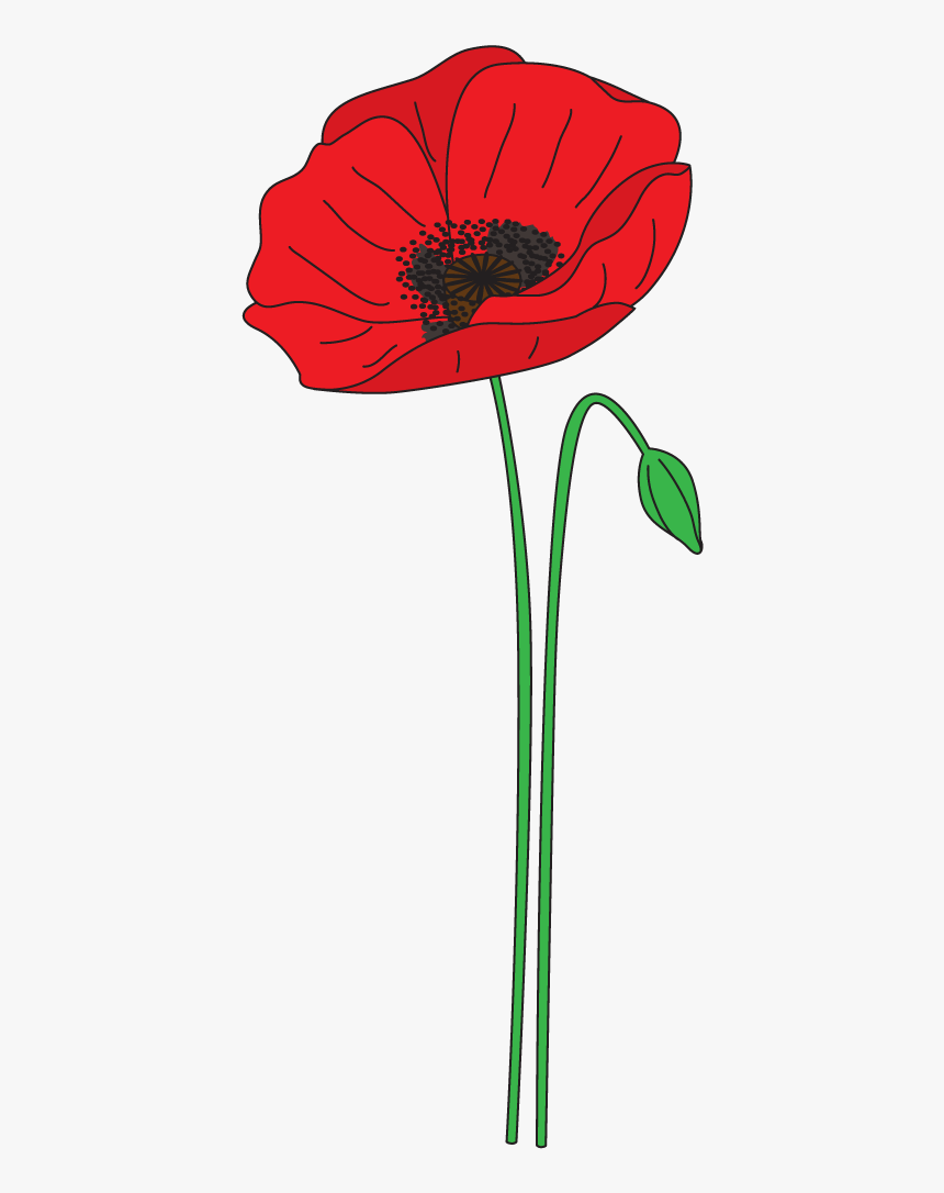 Poppies png. Мак мультяшный. Мак рисунок. Маки вектор. Мак цветок векторный.