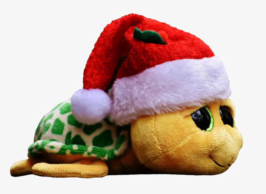 Christmas, Turtle, Soft Toy, Cute, Santa Hat, Funny - Schildkröte Weihnachten, HD Png Download, Free Download